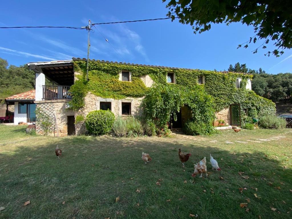 Can Canaleta Hotel Rural Santa Coloma De Farners Zewnętrze zdjęcie