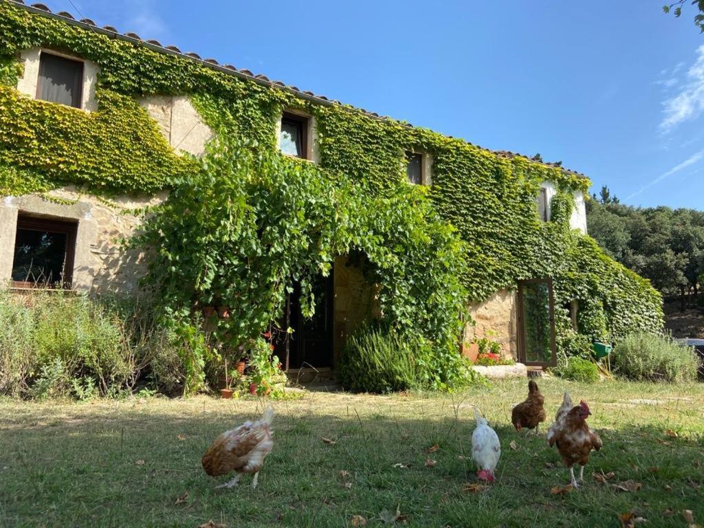 Can Canaleta Hotel Rural Santa Coloma De Farners Zewnętrze zdjęcie