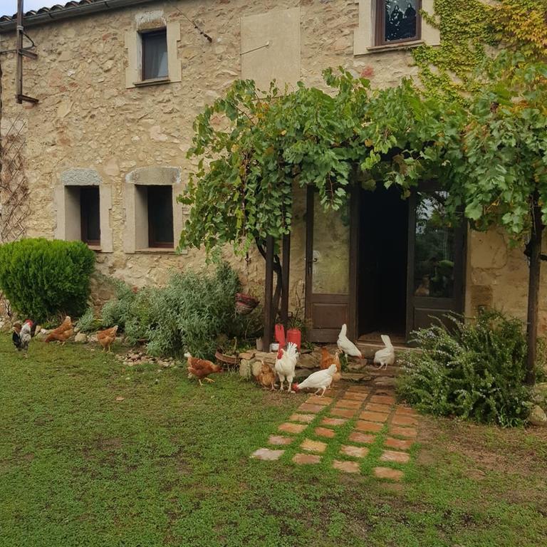 Can Canaleta Hotel Rural Santa Coloma De Farners Zewnętrze zdjęcie