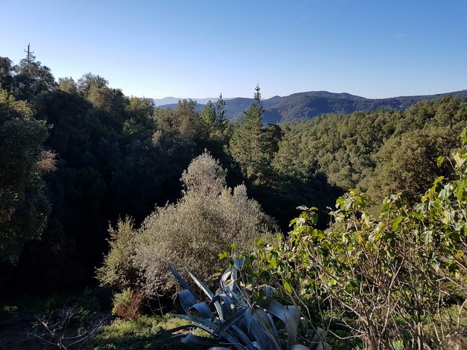 Can Canaleta Hotel Rural Santa Coloma De Farners Zewnętrze zdjęcie