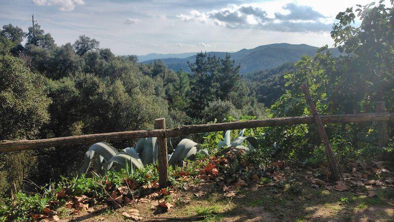 Can Canaleta Hotel Rural Santa Coloma De Farners Zewnętrze zdjęcie